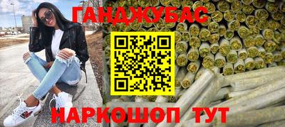 шишки Гай