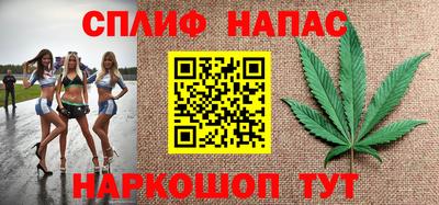 шишки Гай