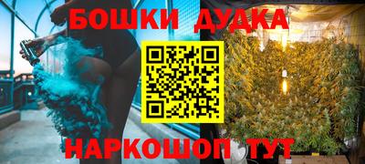 шишки Гай