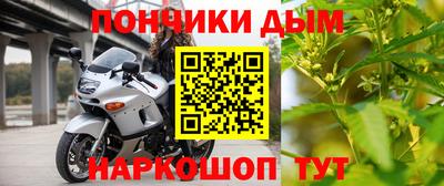 шишки Гай