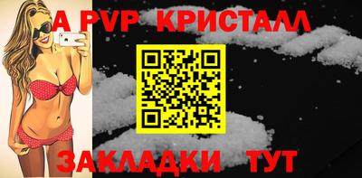 шишки Гай