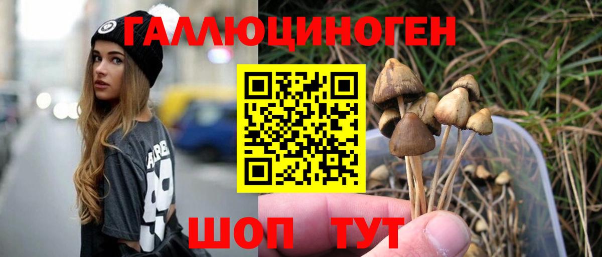 Красноярск  Псилоцибиновые грибы Psilocybe  Вход с VPN  Галлюциногенные грибы Cubensis 
