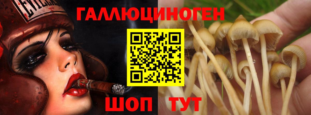 Псилоцибиновые грибы прущие грибы Красноярск